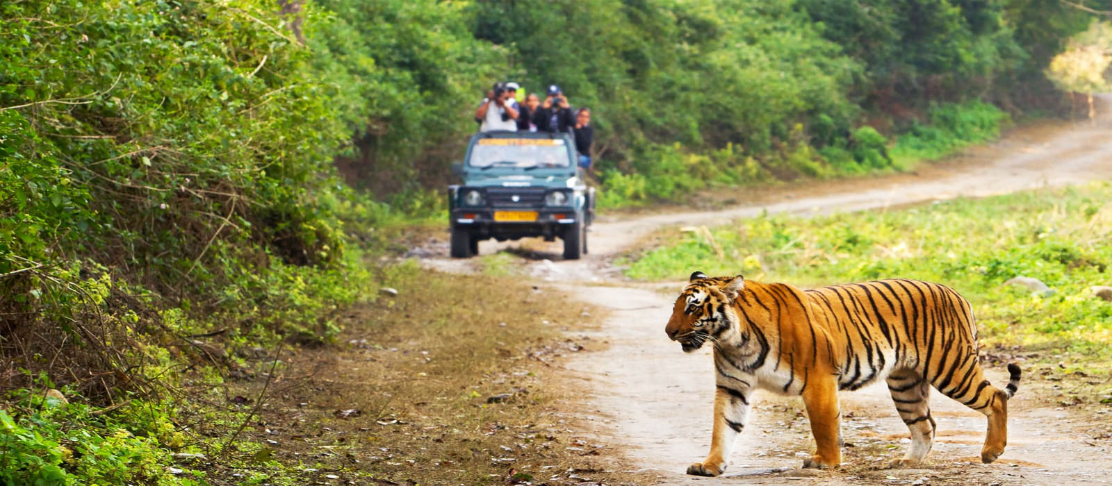 Famous Wildlife Destination – Jim Corbett National Park
